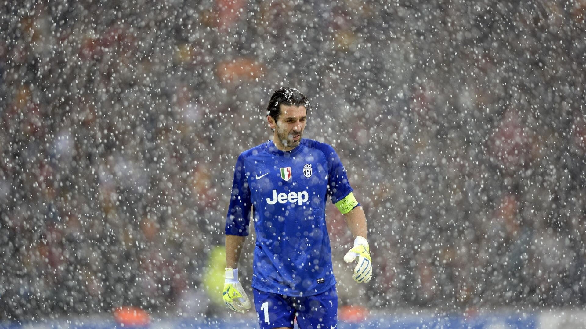 富勒姆战术执行力出色，白百合盼稳定保级，富勒姆ds