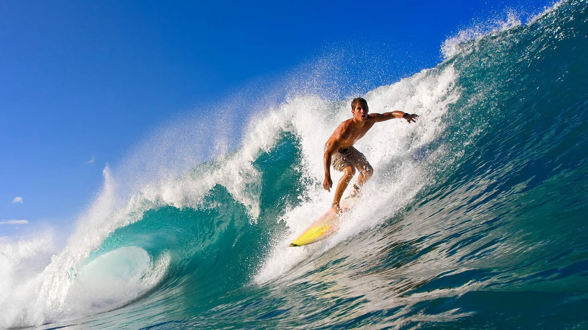 九游官网下载电脑版-韩国星际争霸职业联赛精彩回顾，韩国星际争霸球赛