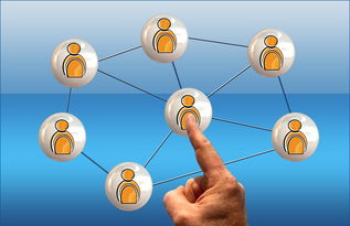 九游网游官网-英超球员社交媒体互动提升粉丝忠诚度研究，英超球队球迷