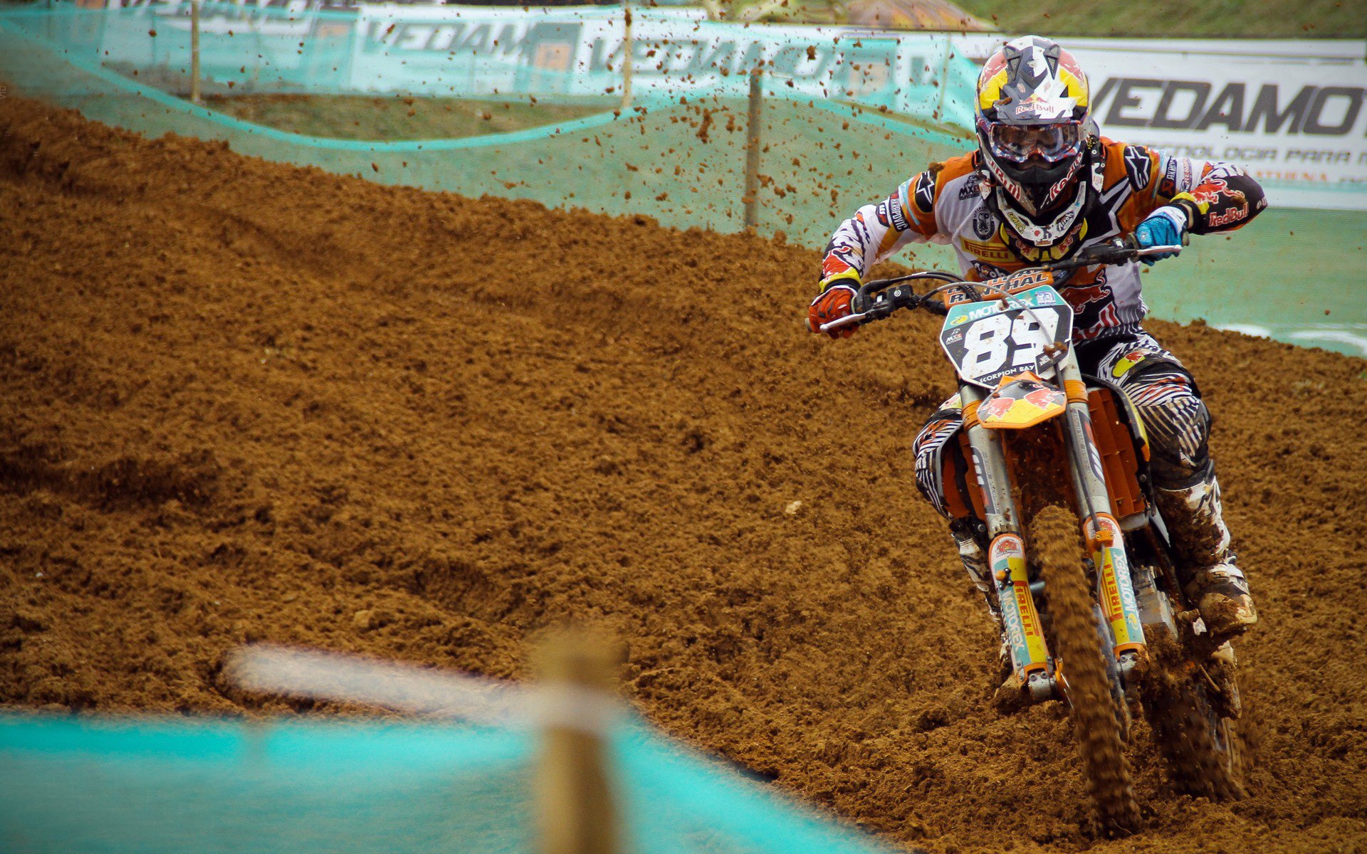 意大利网球选手在女子单打中获得铜牌，意大利网球英雄是谁